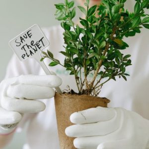 COP 26